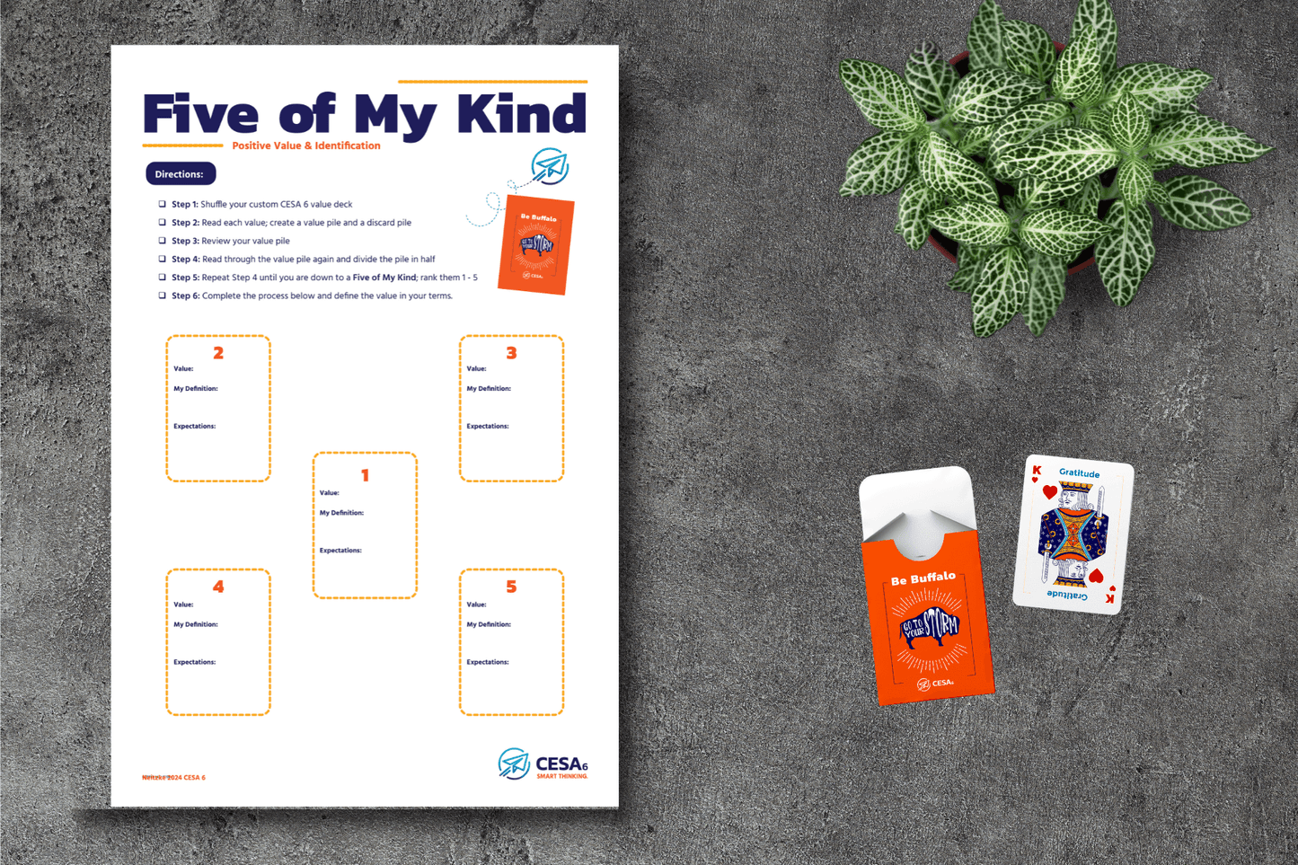 A "Five of My Kind" worksheet with instructions and spaces for defining values, alongside a deck of "Be Buffalo" cards and a Gratitude card from the deck. A small plant is visible in the background.