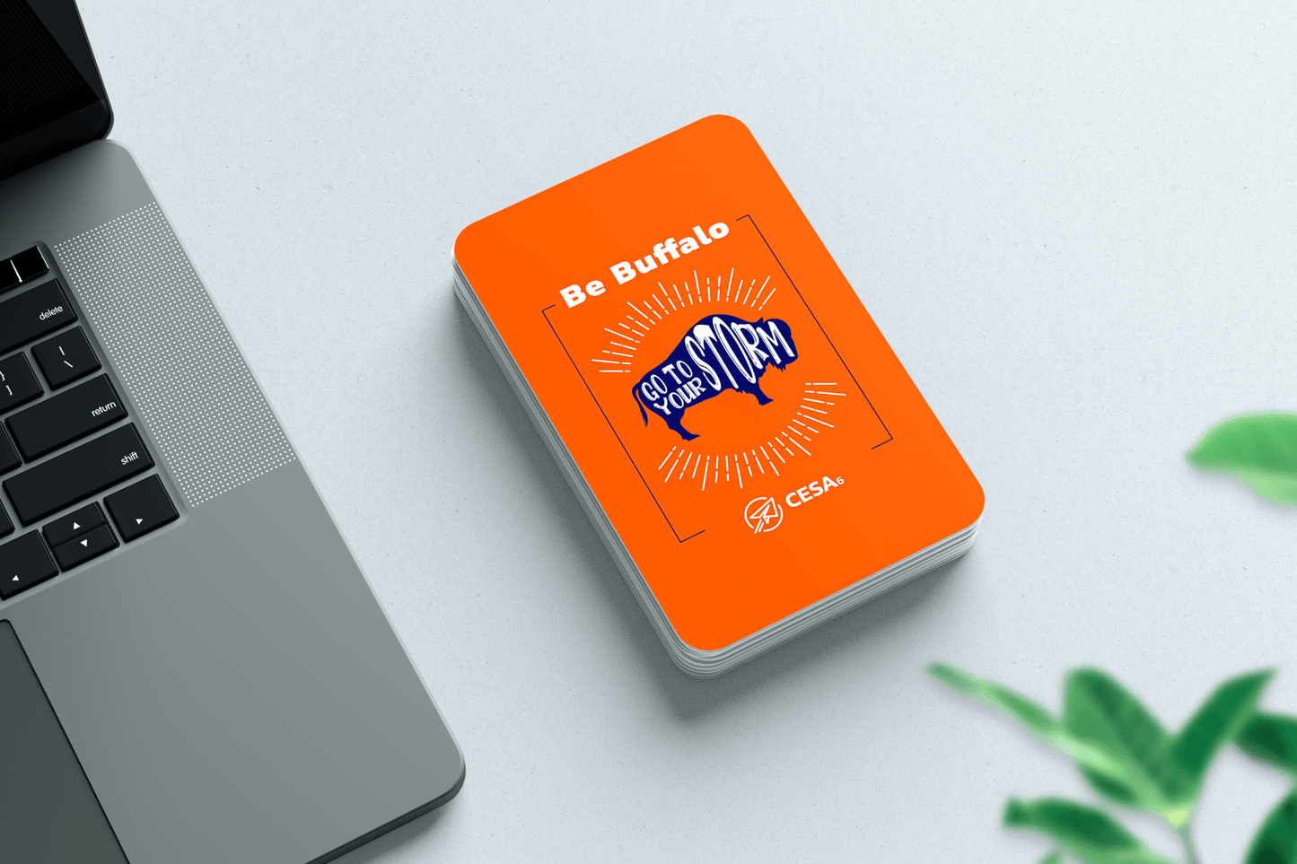 A "Be Buffalo" card deck by CESA6 is placed next to a laptop on a desk with a small plant in the background.