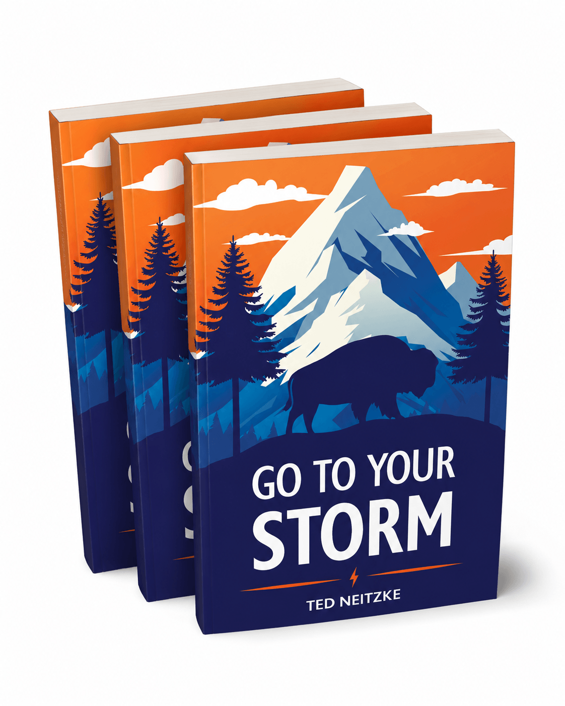 Three copies of a book titled "Go to Your Storm" by Ted Neitzke are shown. The cover features a bison, pine trees, and a mountain with an orange sky.