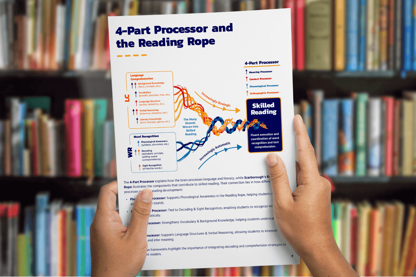 Person holding a booklet in front of a bookshelf, showing a page titled “4-Part Processor and the Reading Rope.” The page includes a colorful diagram linking language comprehension and word recognition strands to skilled reading, along with explanatory text.