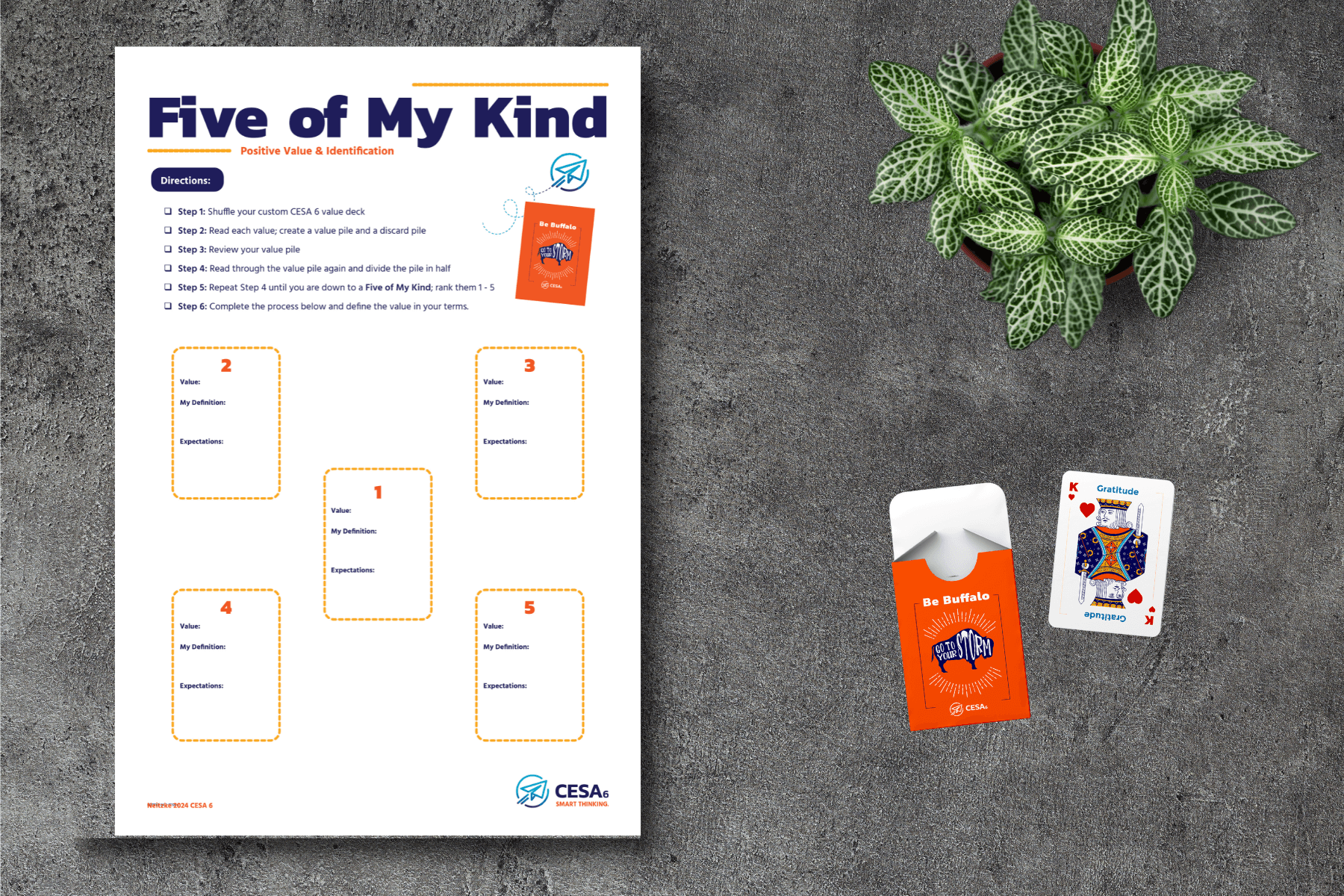A "Five of My Kind" worksheet with instructions and spaces for defining values, alongside a deck of "Be Buffalo" cards and a Gratitude card from the deck. A small plant is visible in the background.