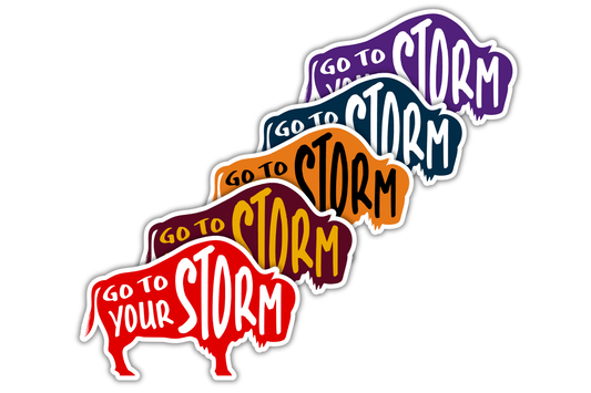 Bold colored buffalo stickers in red, maroon, orange, blue, and purple, each with the phrase "Go to Your Storm" artistically inscribed on them.