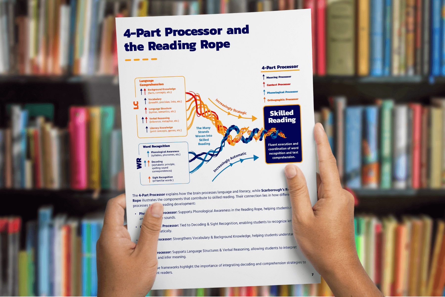Person holding a booklet in front of a bookshelf, showing a page titled “4-Part Processor and the Reading Rope.” The page includes a colorful diagram linking language comprehension and word recognition strands to skilled reading, along with explanatory text.