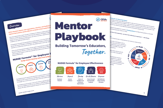 A set of printed playbook pages fanned out on a blue background, with the center page titled "Mentor Playbook" and the surrounding pages showing document sections and charts.