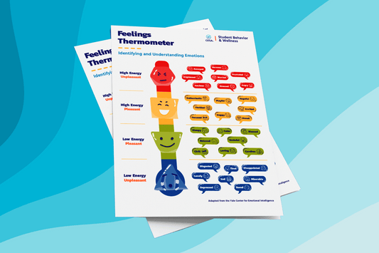 The image features two colorful “Feelings Thermometer” charts from CESA 6’s Student Behavior & Wellness division. The posters are designed to help students identify and understand emotions by sorting them into four zones. Each zone includes a matching emoji face and is color-coded for visual clarity. The layout resembles a vertical thermometer, with expressive faces stacked in corresponding zones.