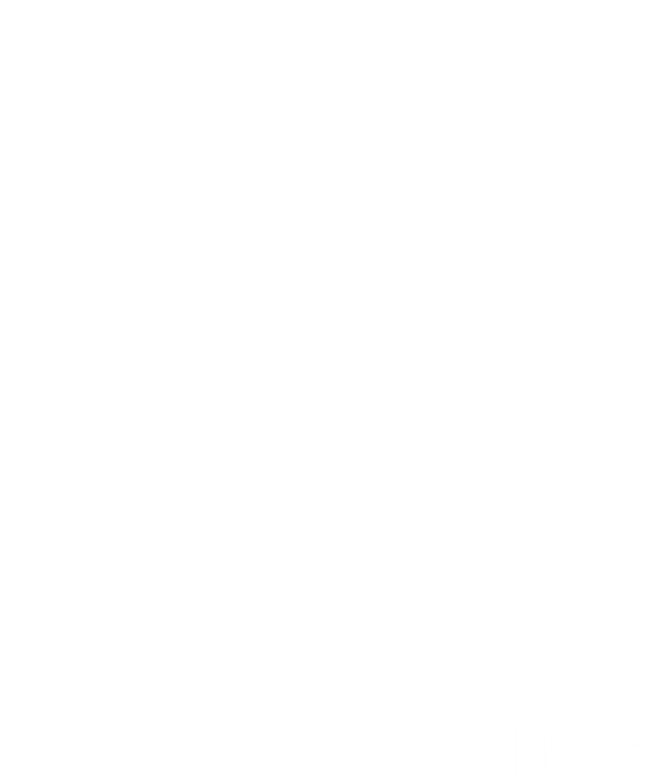 Footer Logo